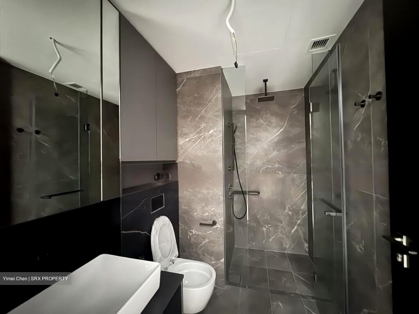 Irwell Hill Residences (D9), Apartment #524905921
